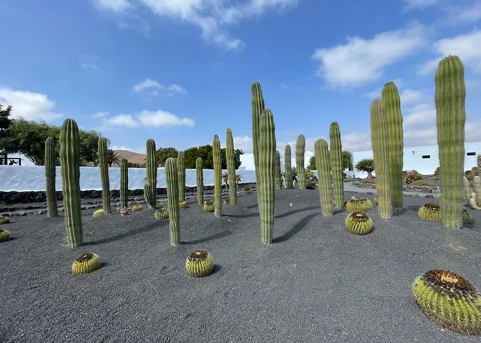 Izaro Atico De Lujo Cerca De Playa Dorada *